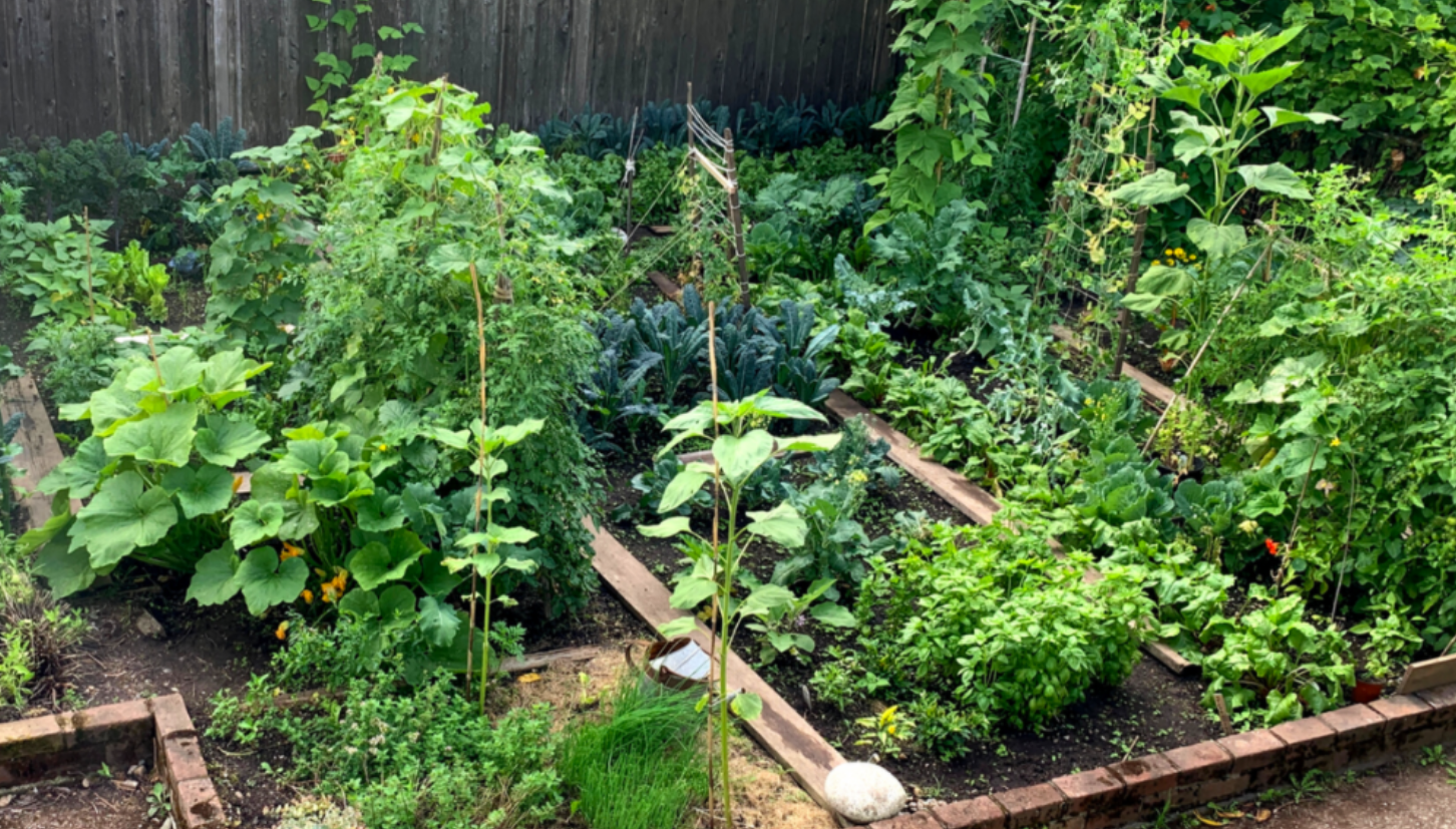 Large Sunny Point Grey Garden